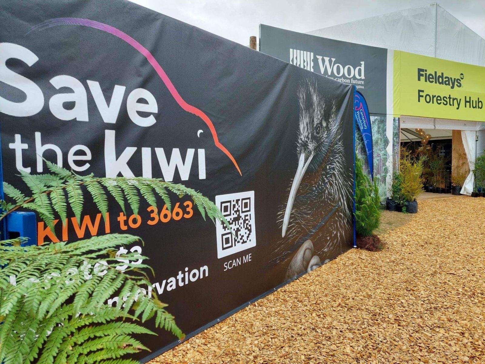 Save the Kiwi
